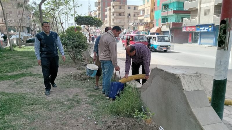 زراعة اشجار مثمرة