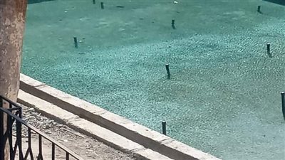 تطوير مركز شباب الحرية بالإسكندرية 