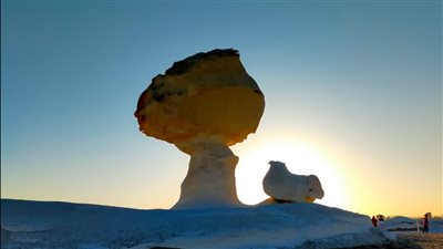 انطلاق الفوج الثالث من معسكر الشباب والرياضة للواحات البحرية بإجازة عيد الفطر