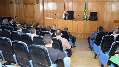 نائب محافظ المنيا يعقد اجتماعًا لمتابعة مشروعات المبادرة الرئاسية حياة كريمة