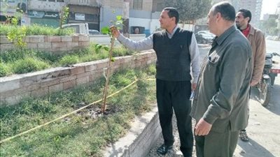 محافظ الشرقية: الأجهزة التنفيذية تكثف جهودها لزراعة الأشجار المثمرة 