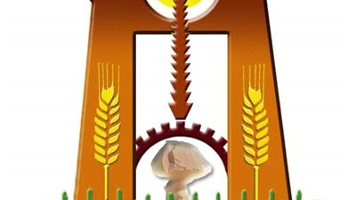 إنشاء وحدات التشخيص والعلاج عن بُعد بالوادي الجديد