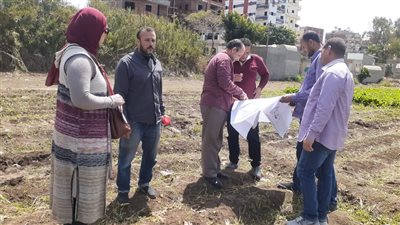 لجان لمتابعة مسارات خطوط المرافق بنطاق أعمال المحور المروري الجديد بالمنصورة