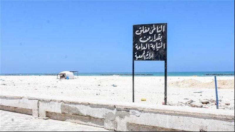 شاطىء النخيل بالإسكندرية،