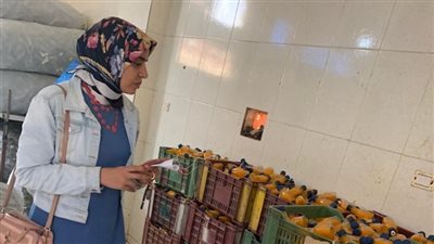 مراقبة الأغذية تعدم 399 كيلو ياميش وتحرر 31 محضرًا في الدقهلية