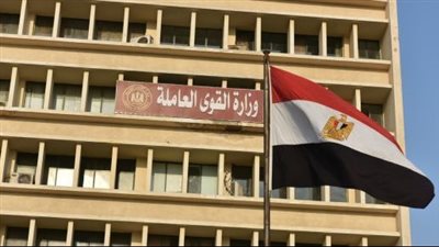 مبادرة لدعم المشروعات الصغيرة لأبناء الجالية المصرية بالإمارات