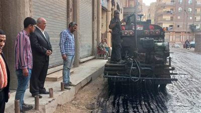 رفع أطنان قمامة ورصف للطرق وزراعة أشجار مثمرة بالدقهلية