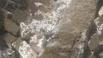 إيقاف حالتى تعدي على أراضي زراعية وإزالة أعمال الحفر بالمنيا