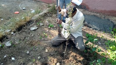 سؤال برلماني عن حجم الإنجاز في مبادرة اتحضر للأخضر