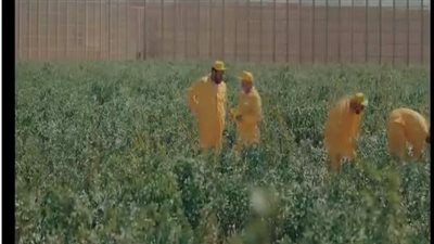 مراكز الإصلاح والتأهيل في دراما رمضان.. بابا المجال ورشيد وضرب نار تظهر تطوير المنظومة العقابية.. وتبرز مشروعات الرعاية الصحية والاجتماعية للنزلاء