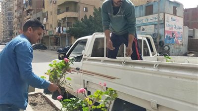 أهالي كفر الجزار بالقليوبية يزينون الطريق الزراعي ضمن مبادرة قريتنا حلوة بينا