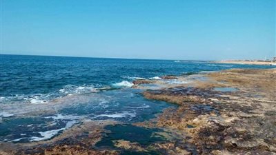 توافد الأسر على كورنيش الاسكندرية لتناول الإفطار رغم التحذيرات من التقلبات الجوية ( فيديو)