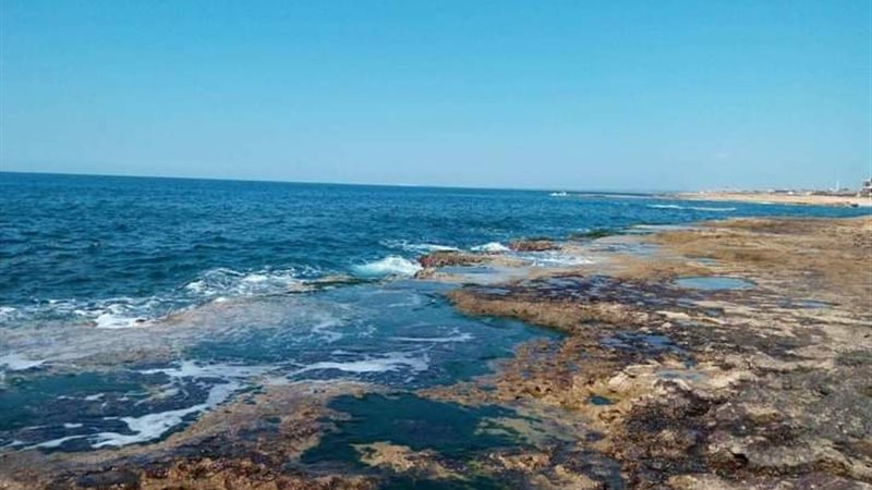 اخبار الاسكندرية