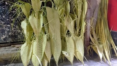 بهجة الأقباط والمسلمين، الأسايطة يستعدون لأحد الشعانين باقتناء السعف (صور )