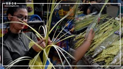 بالتاج والسنابل، صناعة السعف أمام كنائس شبرا للاحتفال بأحد الشعانين (فيديو وصور)