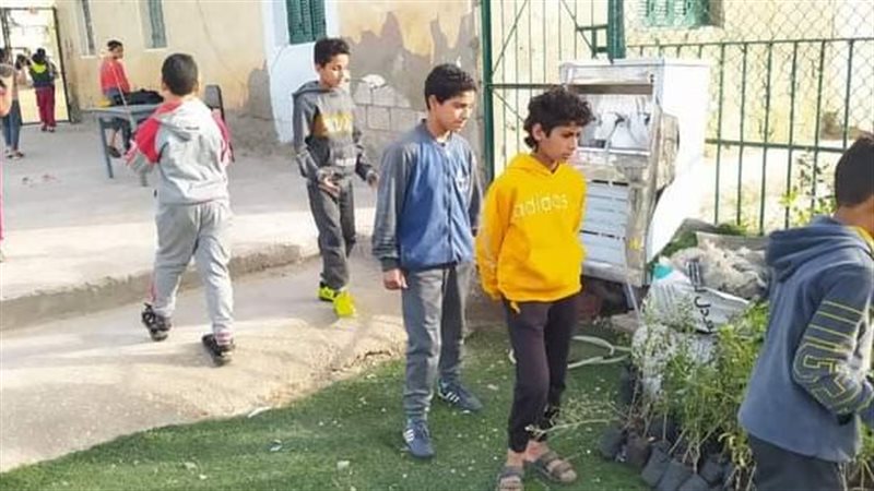 مشروع تشجيرفي الدقهلية،
