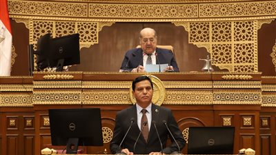 نائب بالشيوخ: الاقتصاد الدائري يستهدف تحسين مستوى معيشة الإنسان