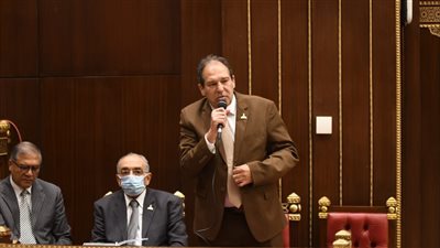 رئيس برلمانية مستقبل وطن بالشيوخ يطالب بتسهيل إجراءات مشروعات تدوير المخلفات 