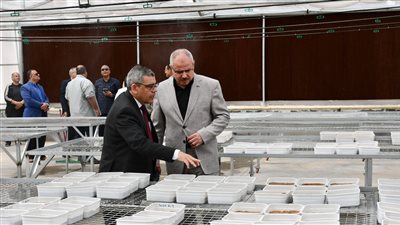 رئيس جامعة القناة يتفقد الإنشاءات الجديدة ويتابع مشروع الصوبة الذكية (صور)