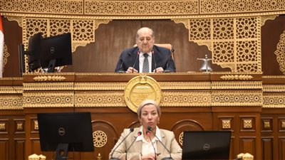 ياسمين فؤاد تكشف أمام الشيوخ استحداث وحدة للاستثمار البيئي والمناخي 