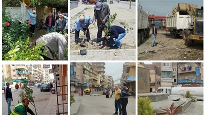 حملات مكثفة للنظافة وتجميل الشوارع بأبو حمص في البحيرة (صور) 
