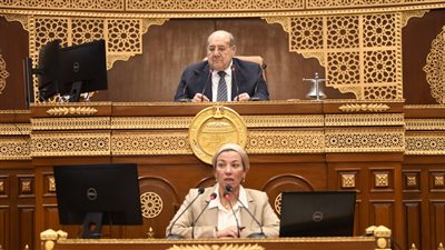 الشيوخ يحيل طلب مناقشة حول الاقتصاد الدائري للجان المختصة 