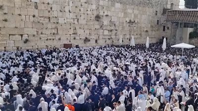 مئات المستوطنين يقتحمون حائط البراق بسبب بركات الكهنة (فيديو) 