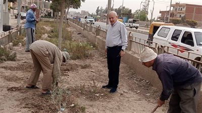 استمرار زراعة المدن والمراكز بالأشجار المثمرة بالشرقية 
