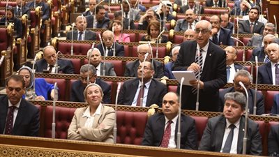 نائب بالشيوخ: تدوير 50% من المخلفات بالحضر فقط ومنعدم في الريف