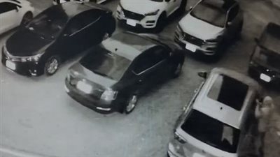 لص يسرق السيارات في الدقهلية خلال دقائق (فيديو)