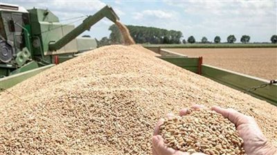 التموين: صرف الأقماح للمطاحن لمدة 3 أيام مقدما خلال إجازة العيد