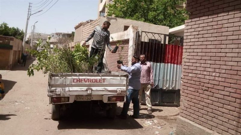 زراعة أشجار، فيتو
