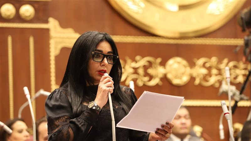 النائبة ريهام عفيفي