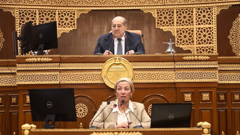 مناقشة طلب بشأن الاقتصاد