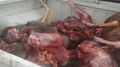 حقيقة بيع لحوم حمير داخل محل جزارة بشبرا الخيمة 