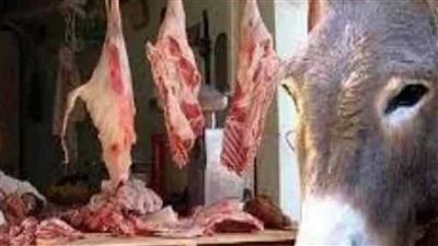 انتداب الطب البيطري في واقعة الترويج لبيع لحوم الحمير بالقاهرة 