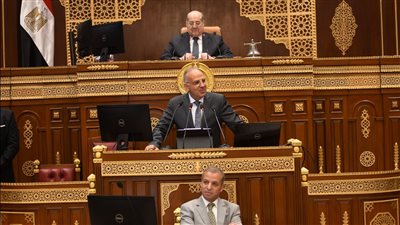 وزير الري يكشف الموقف النهائي من استمرار مشروع تبطين الترع