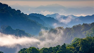 2,4 مليون شخص يعانون مشكلات صحية بسبب التلوث في تايلاند