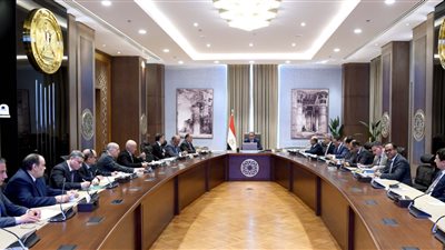 رئيس الوزراء يتابع جهود تطوير مصر للطيران والخطط المستقبلية لها 
