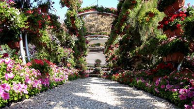 لأول مرة.. تنظيم معرض زهور الربيع خارج حديقة الأورمان 