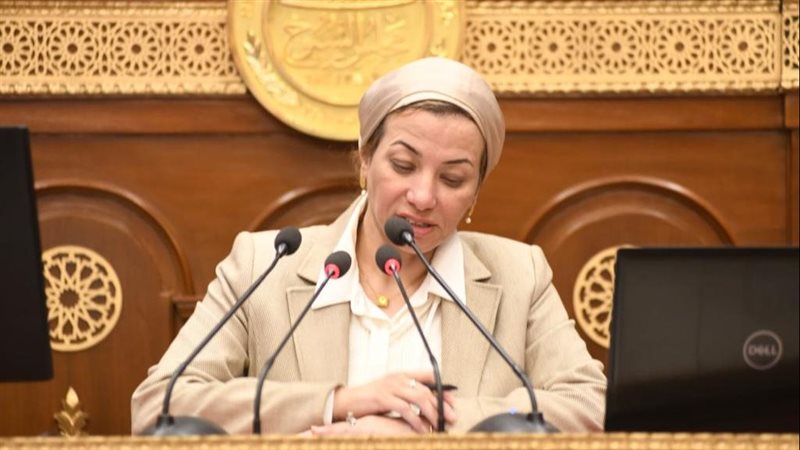 الدكتورة ياسمين فؤاد