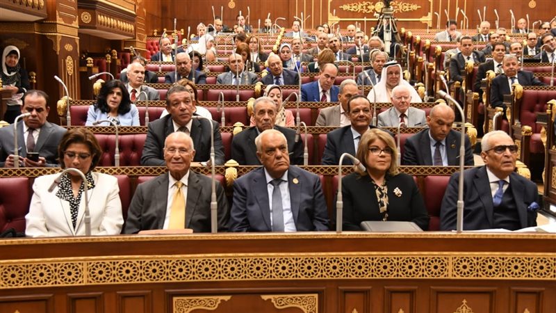 مجلس الشيوخ، فيتو