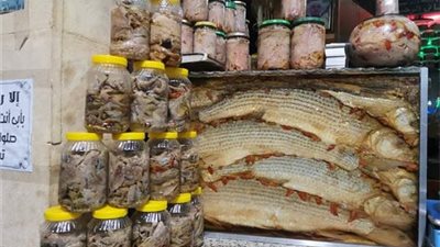  الصحة تكثف حملات التفتيش على أماكن بيع الفسيخ والرنجة.. وتوفر مصل التسمم في المستشفيات 