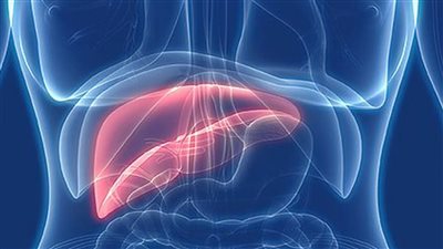 مدير معهد الكبد يكشف الفئات الممنوعة من صيام رمضان (فيديو)