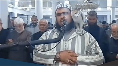 قصة صورة نقل إمام المسجد صاحب فيديو القطة إلى المستشفى بعد تدهور صحته