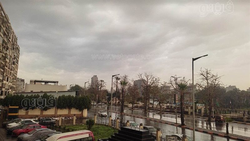 حالة الطقس غدا، فيتو