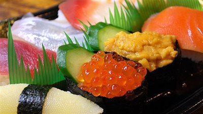 أبرزها السوشي والتونة والماكريل، أسماك تناولها خطر على الحامل