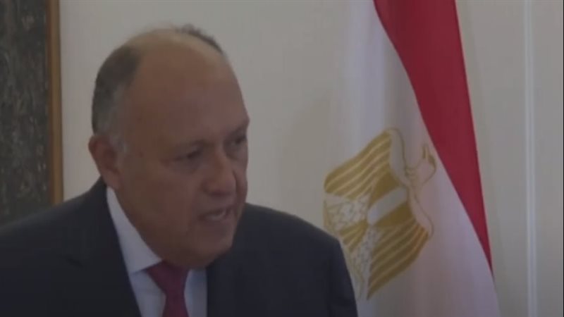 سامح شكري، فيتو