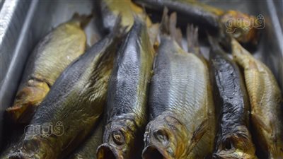 للوقاية من التسمم.. إزاي تفرق بين الفسيخ السليم والفاسد (فيديو وصور) 