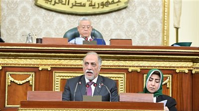 مجلس النواب يوافق على منحة أمريكية لمكافحة التحرش الجنسى والزواج المبكر